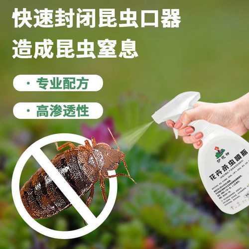 用對“護花神”，巧治家養花卉常見蟲害 蚜蟲、蚧殼蟲與小黑飛全攻略